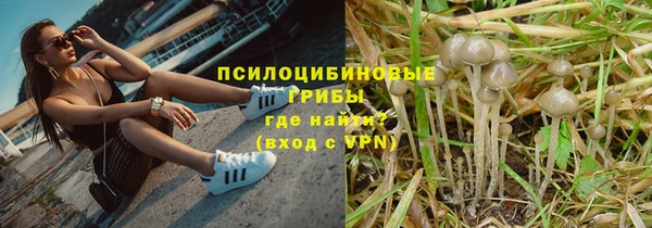 стафф Алзамай