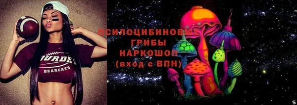 ПСИЛОЦИБИНОВЫЕ ГРИБЫ Алексин